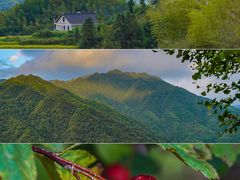 -紫鹊界梯田景区