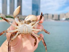 -星海广场