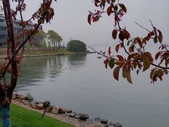 -上海滴水湖皇冠假日酒店