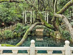 -蝴蝶泉公园