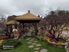 -无锡梅园公园