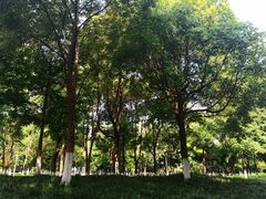 -后襄河公园
