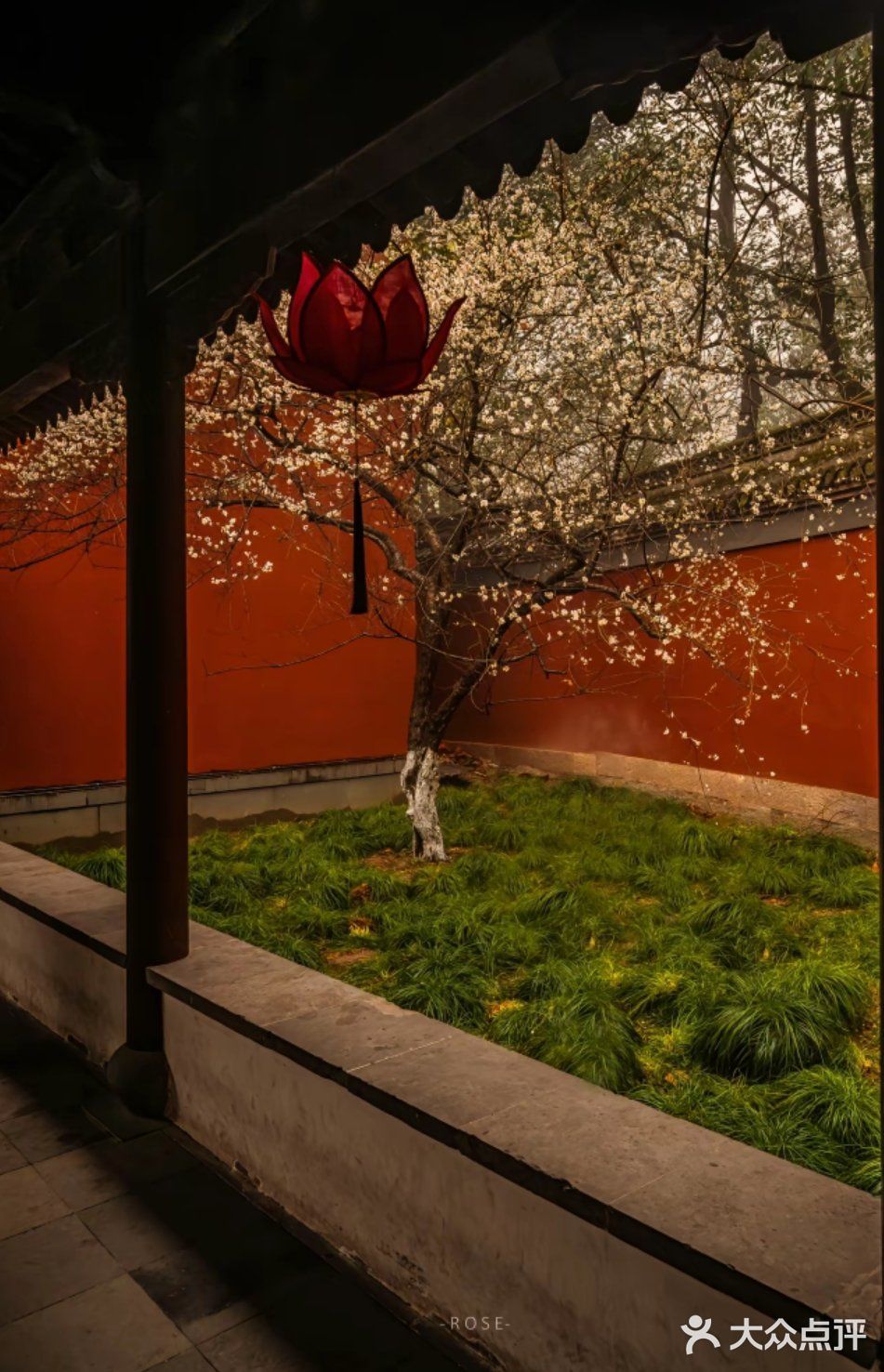 今天外卖吃什么 吃这些