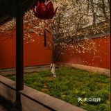 今天外卖吃什么 吃这些