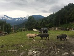 -硗碛藏寨·神木垒景区