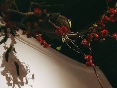 -春天来了(印象新天地店)