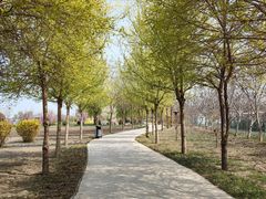 -兴芮温泉度假区