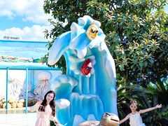 -海合安武汉极地海洋公园