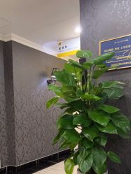 -深圳阳光医疗美容医院·旗舰店