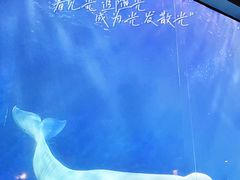 -大连圣亚海洋世界