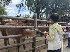 -鄂尔多斯野生动物园