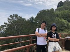 -少华山国家森林公园