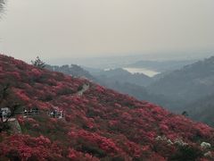 -木兰云雾山