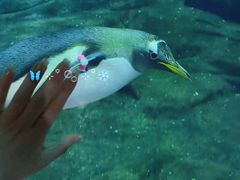 -杭州长乔极地海洋公园