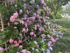 -常州古运河南大街文化旅游区-人民公园