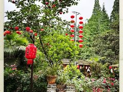 -青城甲(青城山店)