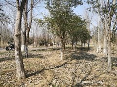 -淇河国家湿地公园