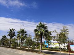 -北海金海湾红树林生态旅游区