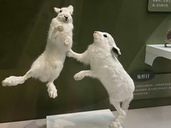 -国家自然博物馆