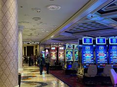 -拉斯维加斯永利酒店