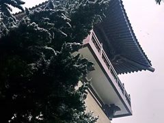 -法门文化景区