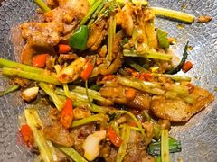 -来相会饺子·新辽菜(甘家口店)
