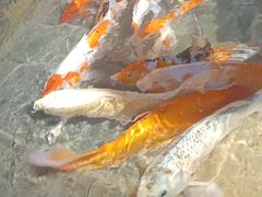 -海合安青岛极地海洋公园