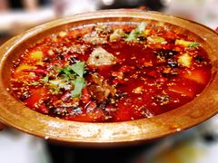 羊蝎子-皇城根·烤鸭·鱼头·家常菜(欧亚大观乐活城店)