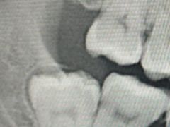 -上海市徐汇区口腔医院