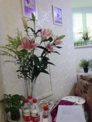 iphone_upload_pic-薇兰专业脱毛连锁机构