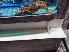 -阿娘家·原生态农家菜(国顺东路店)