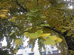-辽宁大学(崇山校区)