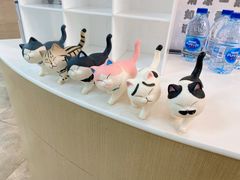 -美联众合动物医院·24h转诊中心