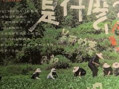 -佬肥猫(七宝宝龙店)