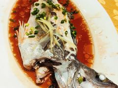 -老字号蛇口德记烧腊饭店·海鲜加工