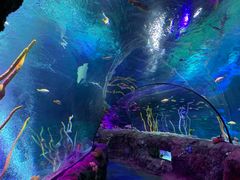 -沈阳海洋探索中心