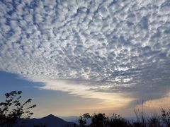 -武陵山森林公园