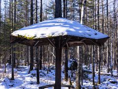 -峡谷浮石林景区