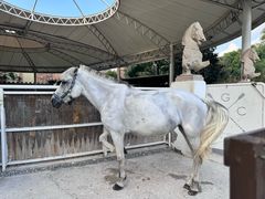 -J Create城市露营咖啡·简餐·宠物(上海动物园店)