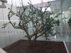 -极简口腔(总院)