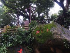 -乌山风景区