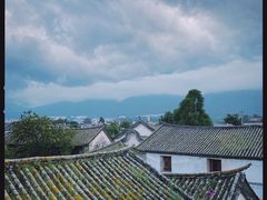 -喵屿·大理花园猫咖