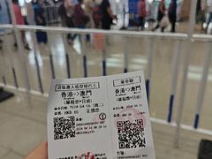 -港珠澳大桥(珠海段)