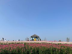 -径山花海
