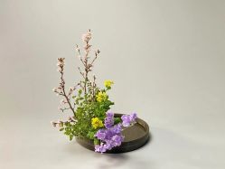 -今日陶艺(富力广场店)