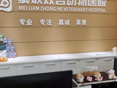 -美联众合动物医院·24h京西诊疗中心