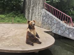 -贵州森林野生动物园