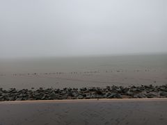 -深圳湾公园(南山区)