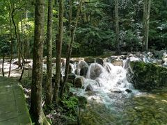 -牛背梁国家森林公园