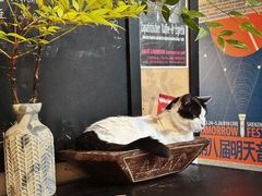 -旧天堂书店(华侨城创意文化园南山特色文化街区店)